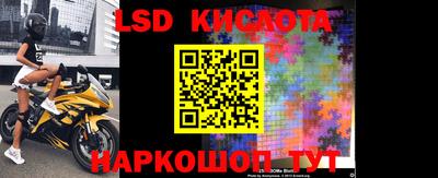 jwh Кингисепп