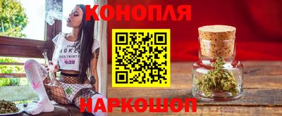 jwh Кингисепп