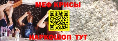 jwh Кингисепп