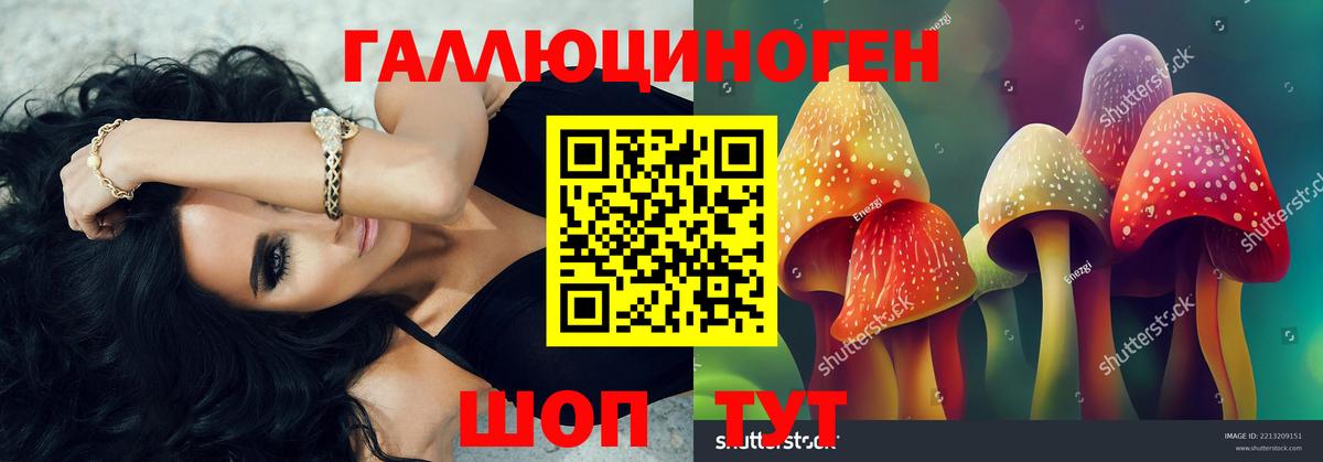 купить наркотики сайты  Галлюциногенные грибы Psilocybe  Вход с VPN  Псилоцибиновые грибы мухоморы  Комсомольск-на-Амуре 